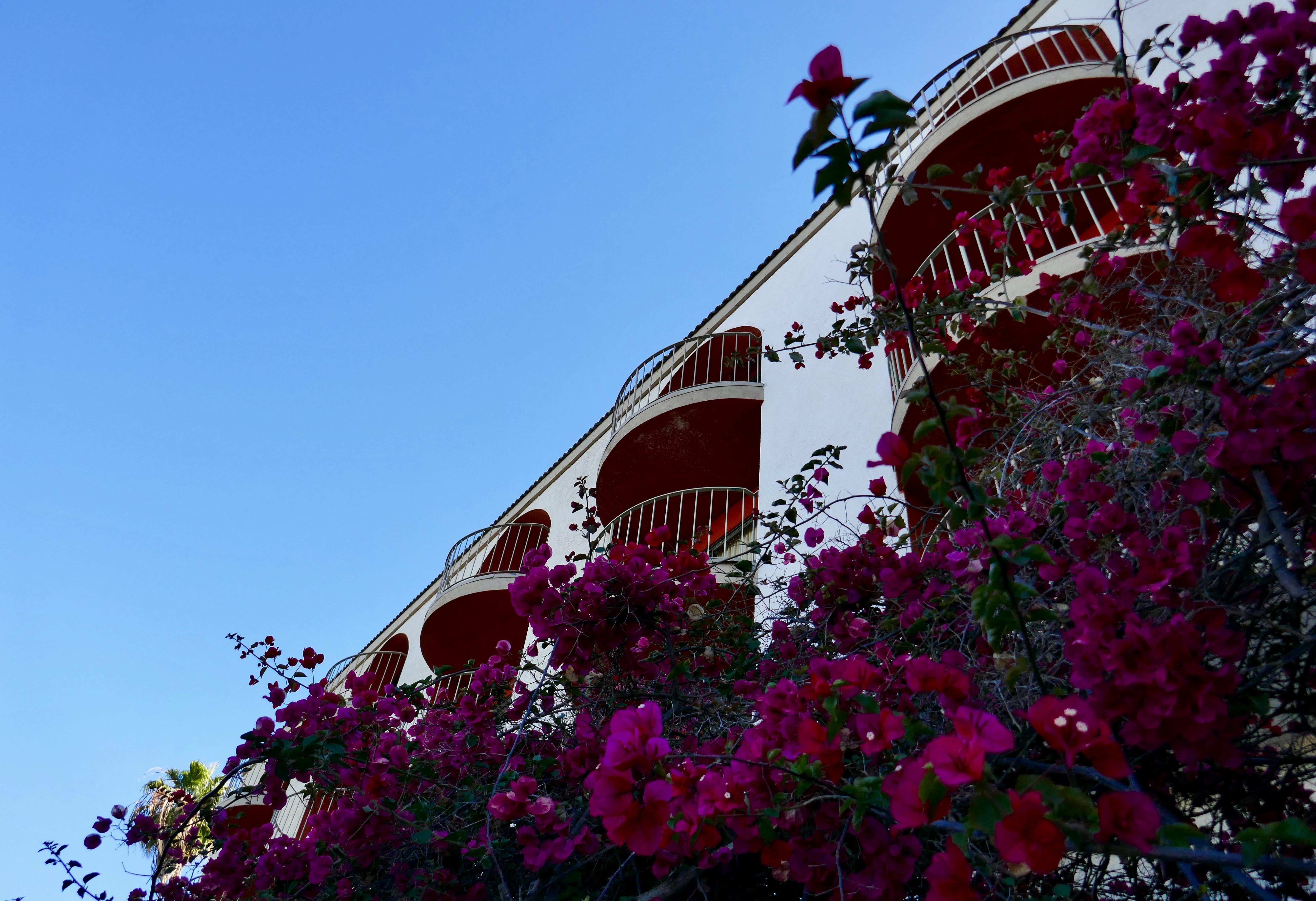 Best Western Golden Sails Hotel Long Beach Exteriör bild