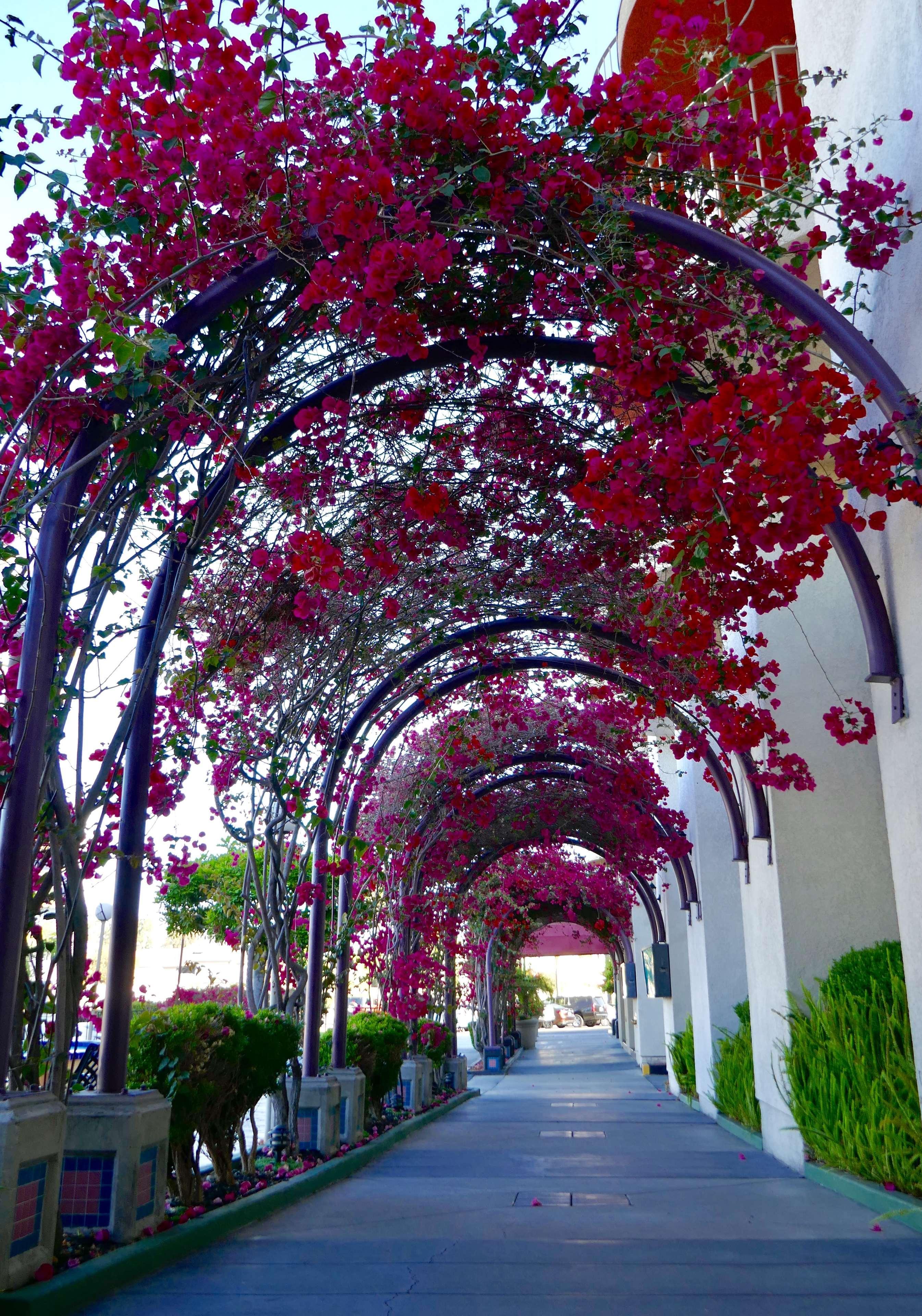Best Western Golden Sails Hotel Long Beach Exteriör bild