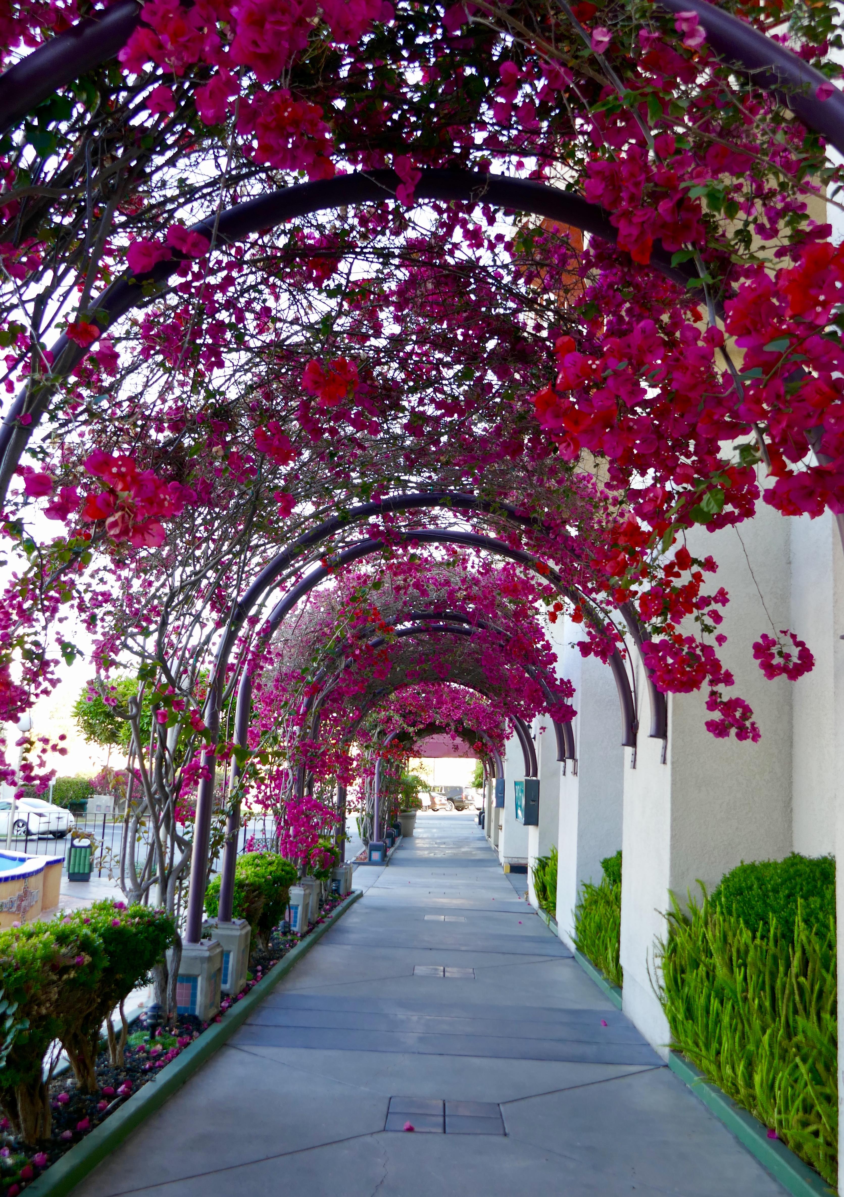 Best Western Golden Sails Hotel Long Beach Exteriör bild